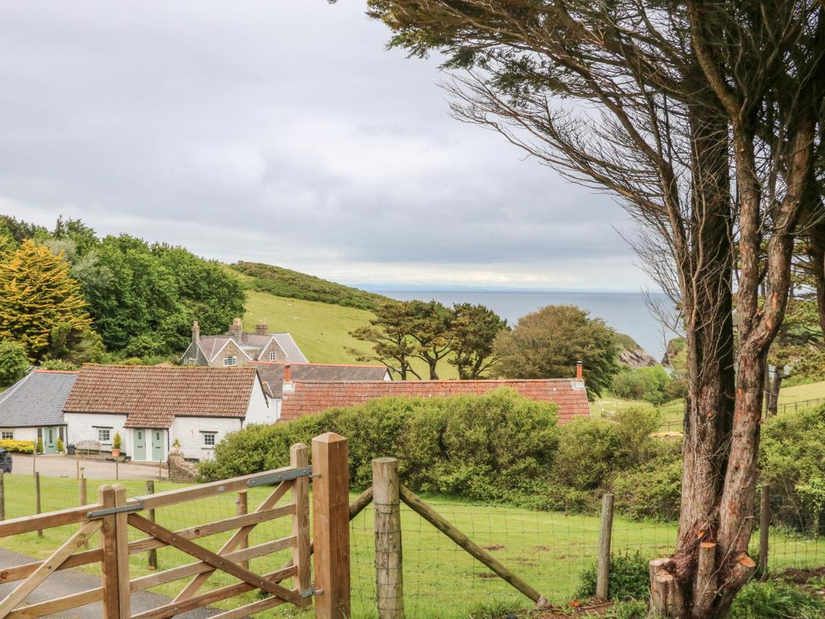 Partridge Cottage Ilfracombe Exterior foto